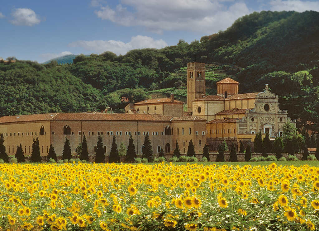 Itinerari del gusto fra ville venete e natura