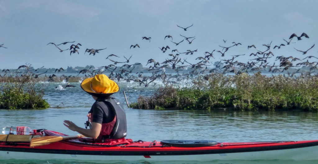 In Kayak a pelo d'acqua galleggia sulla laguna che avvolge Venezia