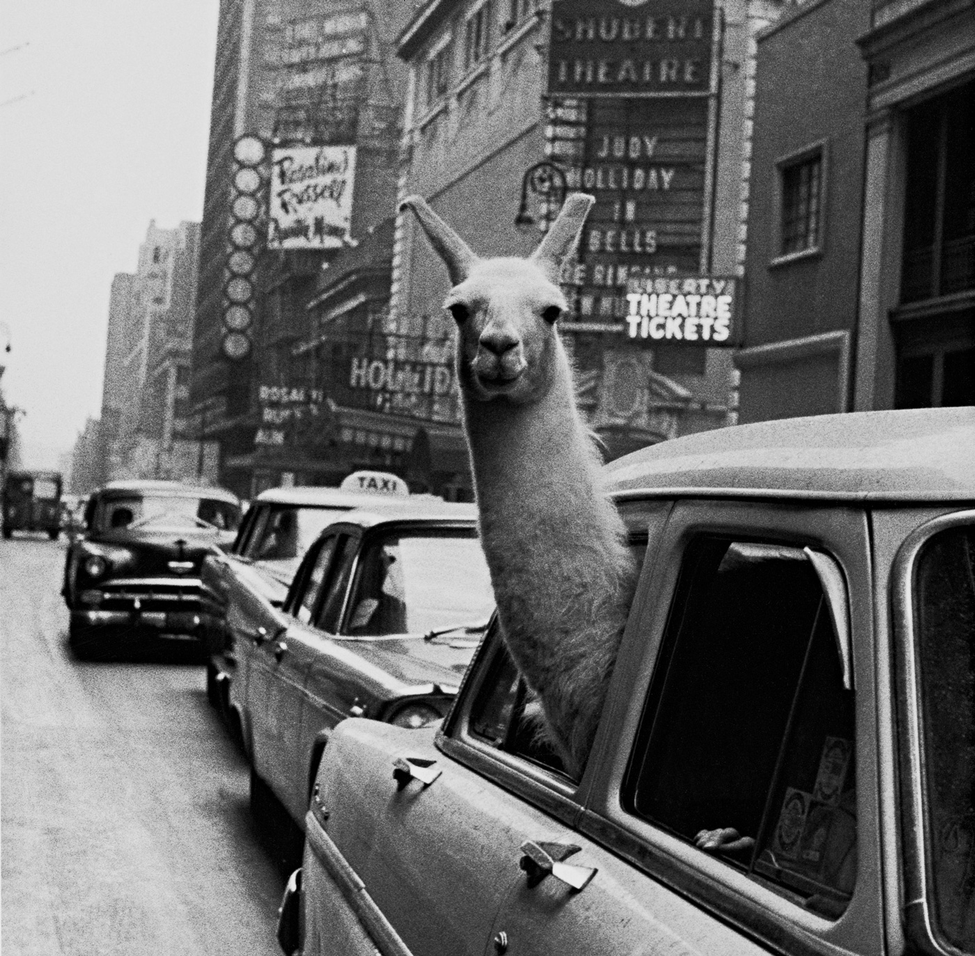 photos-from-venice-onward-inge-morath-at-palazzo-grimani-live-venice